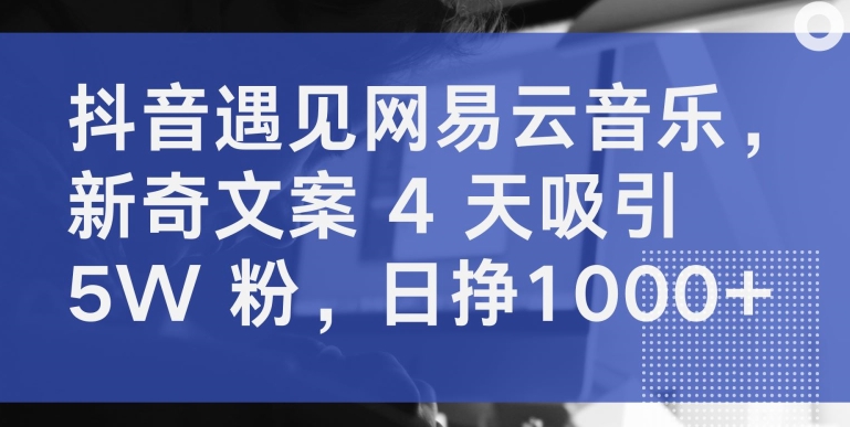 抖音遇见网易云音乐，新奇文案 4 天吸引 5W 粉，日挣1000+-三六网赚