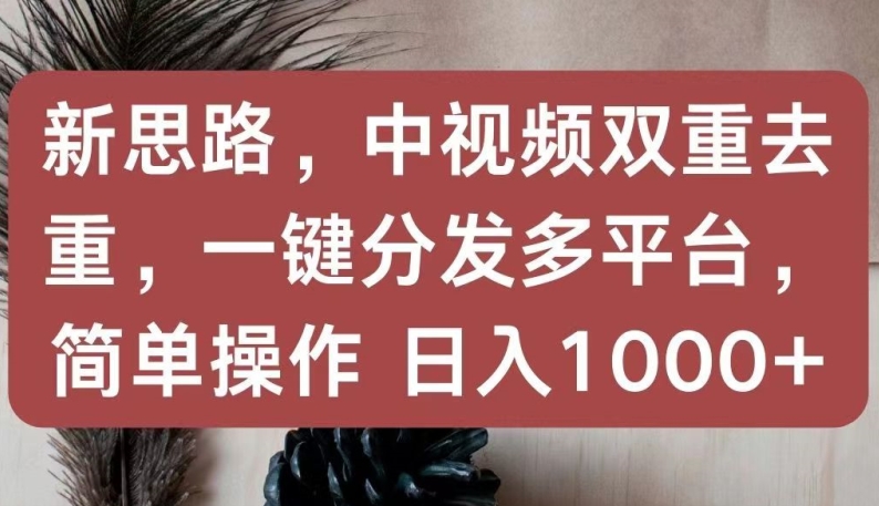 新思路，中视频双重去重，一键分发多平台，简单操作，日入1000+-三六网赚