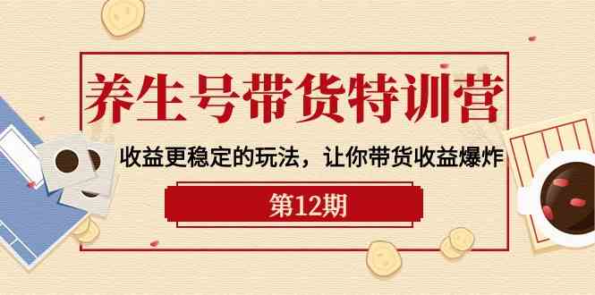 （10110期）养生号带货特训营【12期】收益更稳定的玩法，让你带货收益爆炸-9节直播课-三六网赚