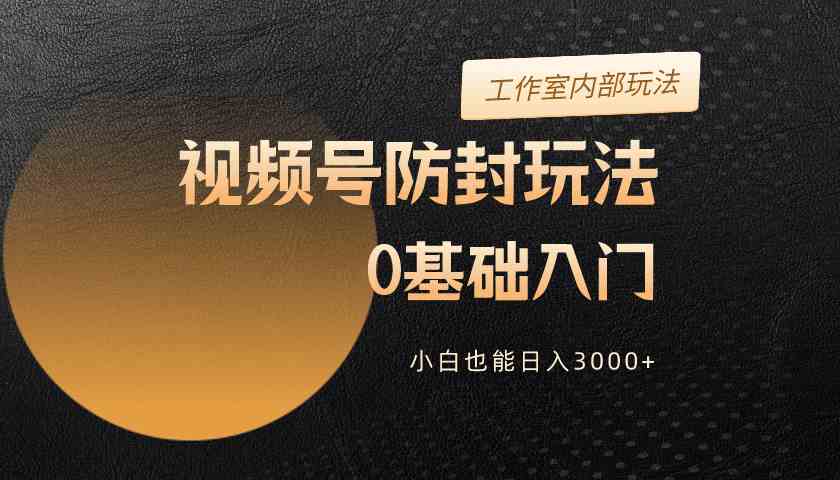 （10107期）2024视频号升级防封玩法，零基础入门，小白也能日入3000+-三六网赚