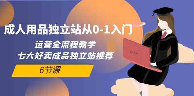 成人用品独立站从0-1入门，运营全流程教学，七大好卖成品独立站推荐（6节课）-三六网赚