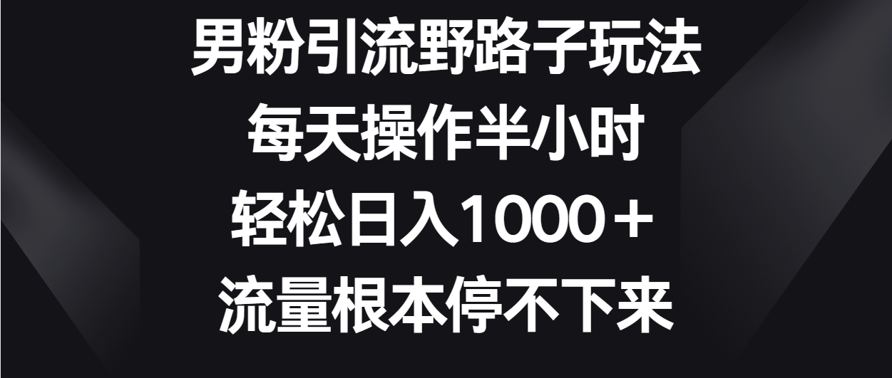 男粉引流野路子玩法，每天操作半小时轻松日入1000＋，流量根本停不下来-三六网赚