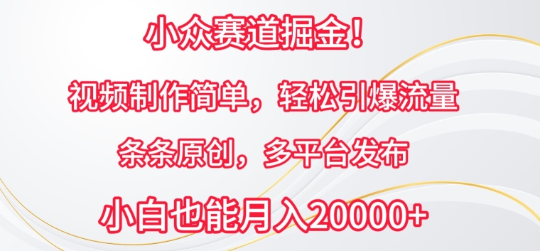 小众赛道掘金，视频制作简单，轻松引爆流量，条条原创，多平台发布-三六网赚