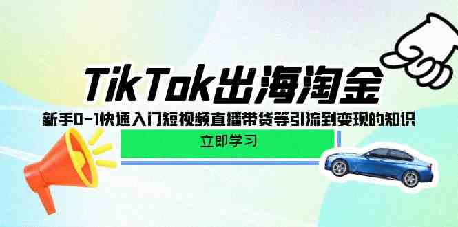 TikTok出海淘金，新手0-1快速入门短视频直播带货等引流到变现的知识-三六网赚