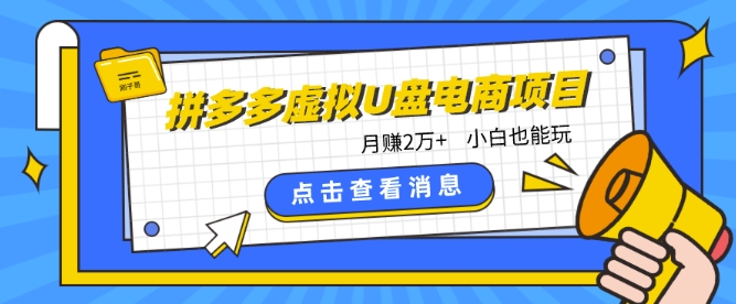 拼多多虚拟U盘电商红利项目：月赚2万+，新手小白也能玩-三六网赚