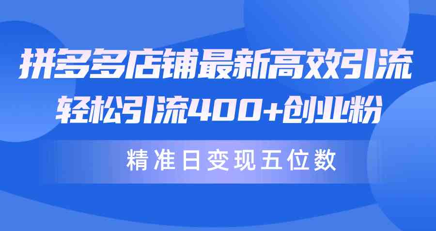 （10041期）拼多多店铺最新高效引流术，轻松引流400+创业粉，精准日变现五位数！-三六网赚