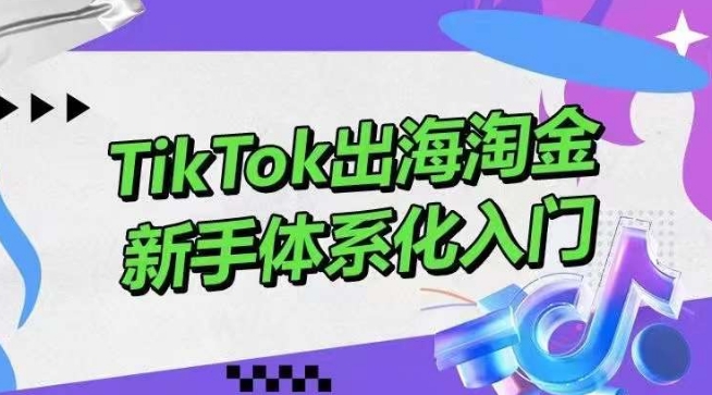 TikTok出海淘金，新手体系化入门，零基础快速入门，掌握短视频、直播带货等引流到变现的知识-三六网赚