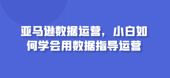 亚马逊数据运营，小白如何学会用数据指导运营-三六网赚