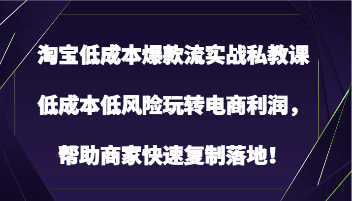 淘宝低成本爆款流实战私教课，低成本低风险玩转电商利润，帮助商家快速复制落地！-三六网赚