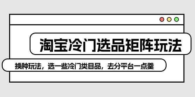 （10159期）淘宝冷门选品矩阵玩法：换种玩法，选一些冷门类目品，去分平台一点羹-三六网赚