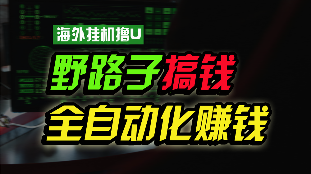 海外挂机撸U新平台，日赚8-15美元，全程无人值守，可批量放大，工作室内部项目！-三六网赚