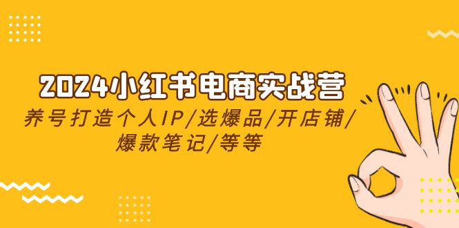 （10376期）2024小红书电商实战营，养号打造IP/选爆品/开店铺/爆款笔记/等等（24节）-三六网赚