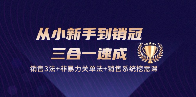 从小新手到销冠三合一速成：销售3法+非暴力关单法+销售系统挖需课 (27节)-三六网赚