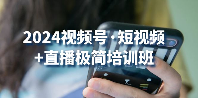 2024视频号短视频+直播极简培训班：抓住视频号风口，流量红利-三六网赚