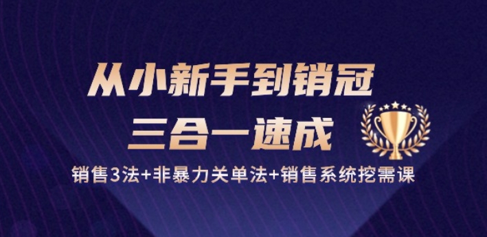 从小新手到销冠 三合一速成：销售3法+非暴力关单法+销售系统挖需课 (27节)-三六网赚