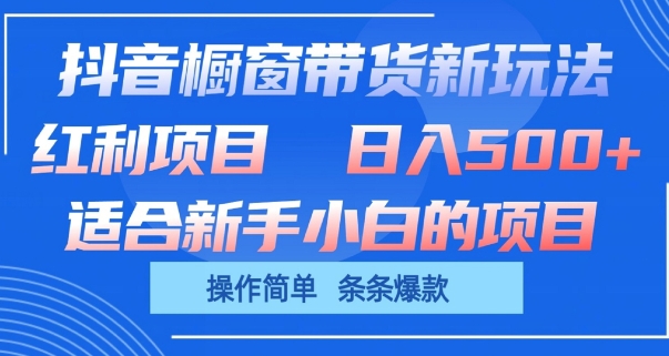 抖音橱窗带货新玩法，单日收益几张，操作简单，条条爆款-三六网赚