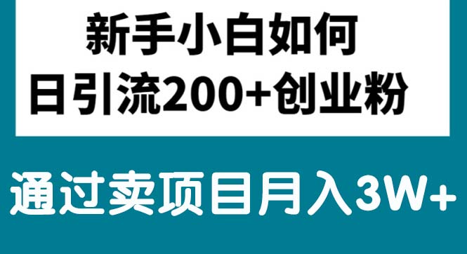 （10843期）新手小白日引流200+创业粉,通过卖项目月入3W+-三六网赚