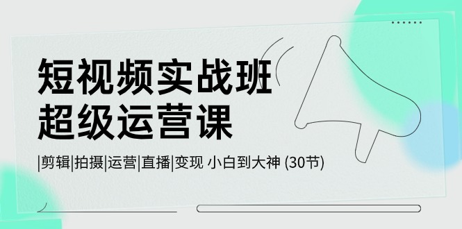 （10836期）短视频实战班-超级运营课，|剪辑|拍摄|运营|直播|变现 小白到大神 (30节)-三六网赚