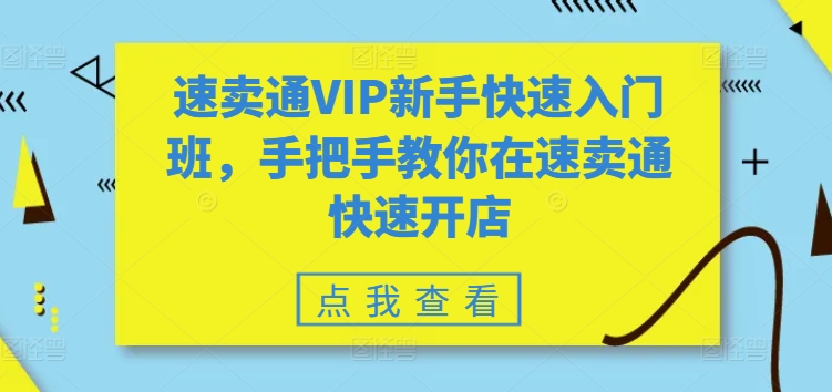 速卖通VIP新手快速入门班，手把手教你在速卖通快速开店-三六网赚