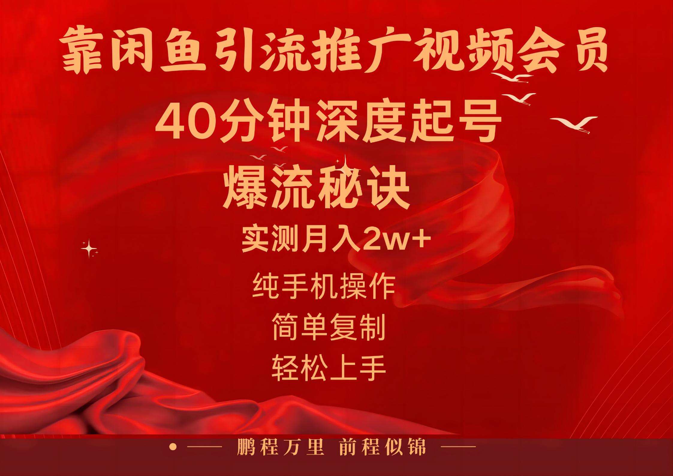 （10895期）闲鱼暴力引流推广视频会员，能做到日入2W+，操作简单-三六网赚