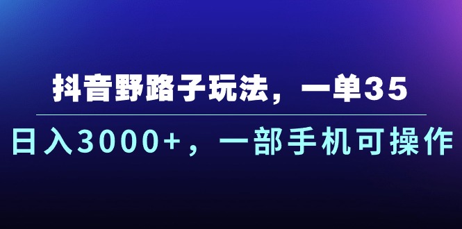 （10909期）抖音野路子玩法，一单35.日入3000+，一部手机可操作-三六网赚