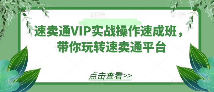 速卖通VIP实战操作速成班，带你玩转速卖通平台-三六网赚