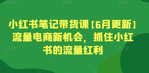 小红书笔记带货课【6月更新】流量电商新机会，抓住小红书的流量红利-三六网赚