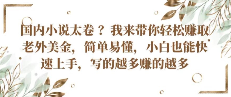 国内小说太卷 ?带你轻松赚取老外美金，简单易懂，小白也能快速上手，写的越多赚的越多-三六网赚