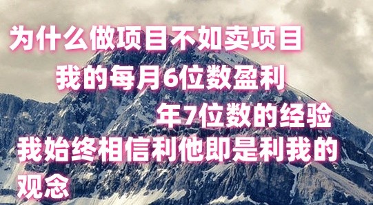 做项目不如卖项目，每月6位数盈利，年7位数经验-三六网赚