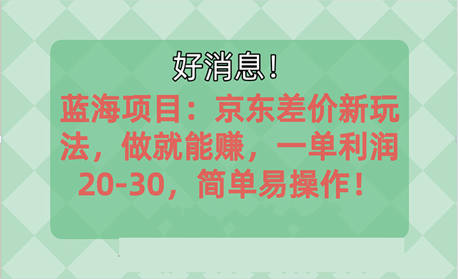 （10989期）越早知道越能赚到钱的蓝海项目：京东大平台操作，一单利润20-30，简单…-三六网赚