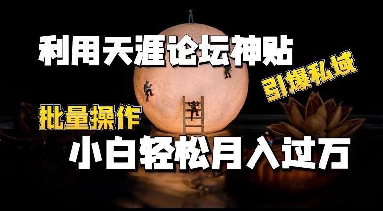 利用天涯论坛神贴，引爆私域，批量操作，小白轻松月入过w【揭秘】-三六网赚