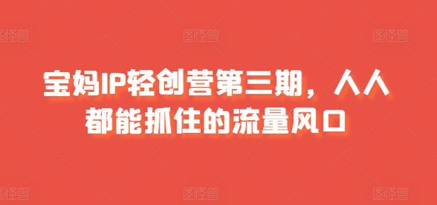 宝妈IP轻创营第三期，人人都能抓住的流量风口-三六网赚