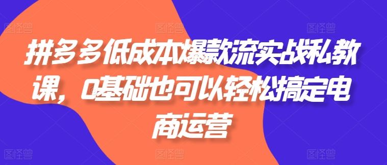 拼多多低成本爆款流实战私教课，0基础也可以轻松搞定电商运营-三六网赚