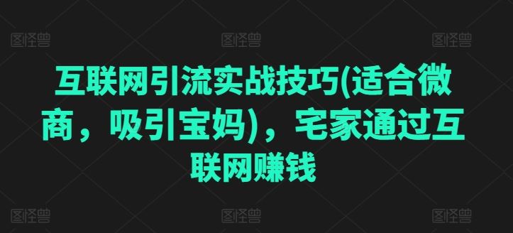 互联网引流实战技巧(适合微商，吸引宝妈)，宅家通过互联网赚钱-三六网赚