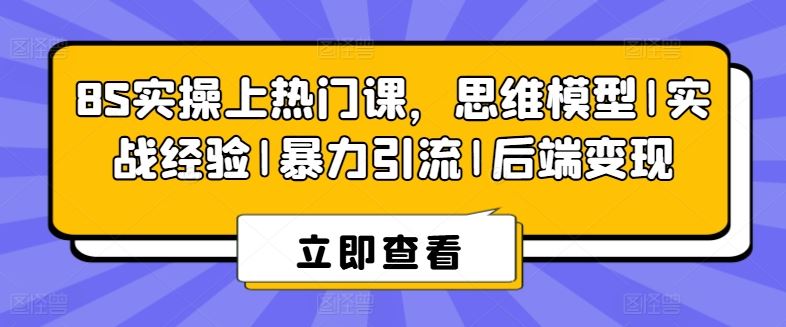 8S实操上热门课，思维模型|实战经验|暴力引流|后端变现-三六网赚