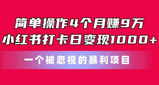 简单操作4个月赚9w，小红书打卡日变现1k，一个被忽视的暴力项目【揭秘】-三六网赚