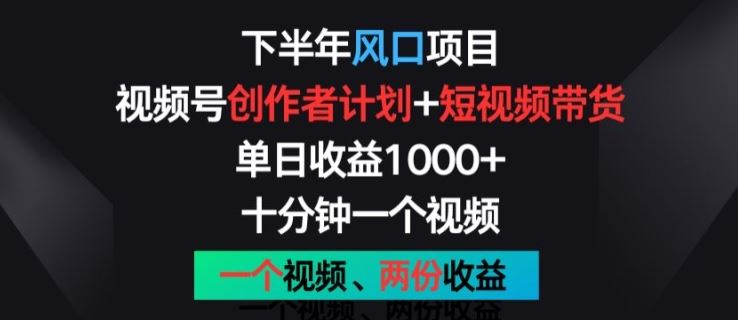 下半年风口项目，视频号创作者计划+视频带货，一个视频两份收益，十分钟一个视频【揭秘】-三六网赚