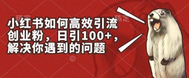 小红书如何高效引流创业粉，日引100+，解决你遇到的问题【揭秘】-三六网赚