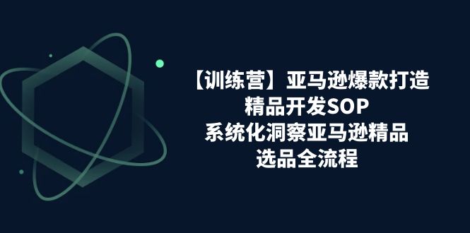 （11210期）【训练营】亚马逊爆款打造之精品开发SOP，系统化洞察亚马逊精品选品全流程-三六网赚