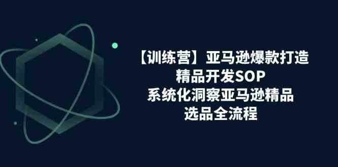 亚马逊爆款打造之精品开发SOP【训练营】，系统化洞察亚马逊精品选品全流程-三六网赚