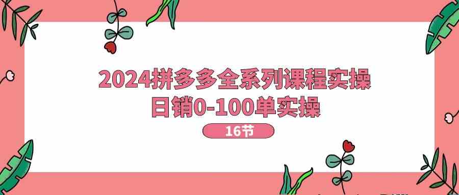 2024拼多多全系列课程实操，日销0-100单实操【16节课】-三六网赚