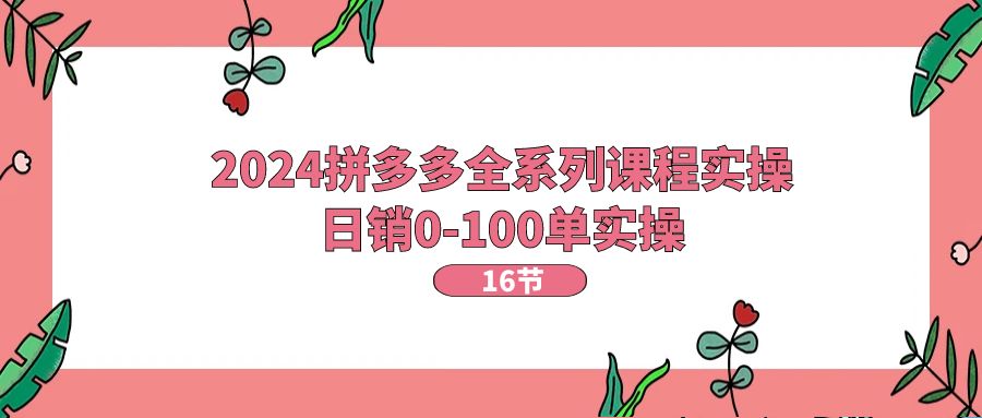 （11222期）2024拼多多全系列课程实操，日销0-100单实操【16节课】-三六网赚