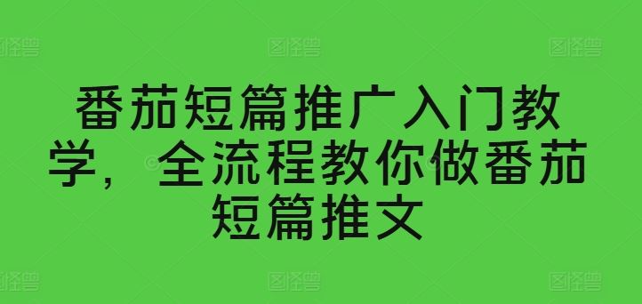 番茄短篇推广入门教学，全流程教你做番茄短篇推文-三六网赚