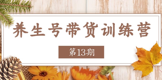 （11275期）养生号-带货训练营【第13期】收益更稳定的玩法，让你带货收益爆炸-三六网赚