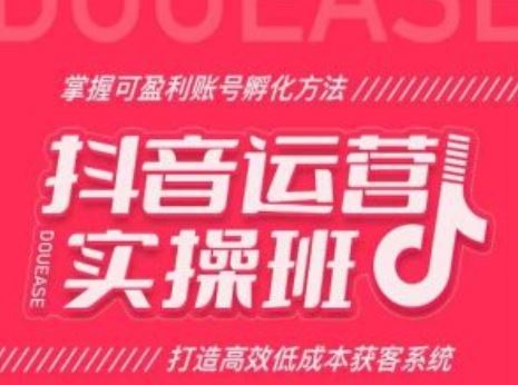 抖音运营实操班，掌握可盈利账号孵化方法，打造高效低成本获客系统-三六网赚