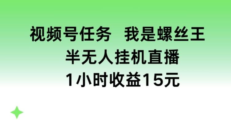 视频号任务，我是螺丝王， 半无人挂机1小时收益15元【揭秘】-三六网赚