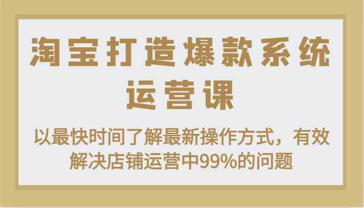 淘宝打造爆款系统运营课：以最快时间了解最新操作方式，有效解决店铺运营中99%的问题-三六网赚