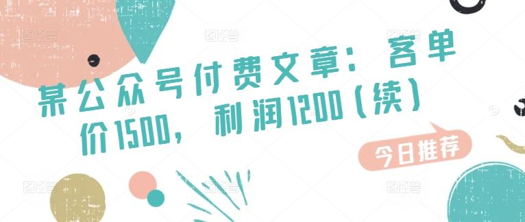 某公众号付费文章：客单价1500，利润1200(续)，市场几乎可以说是空白的-三六网赚