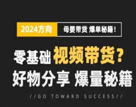 短视频母婴赛道实操流量训练营，零基础视频带货，好物分享，爆量秘籍-三六网赚