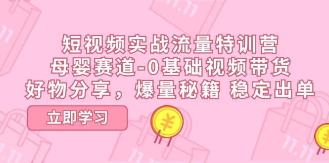 （11373期）短视频实战流量特训营，母婴赛道-0基础带货，好物分享，爆量秘籍 稳定出单-三六网赚